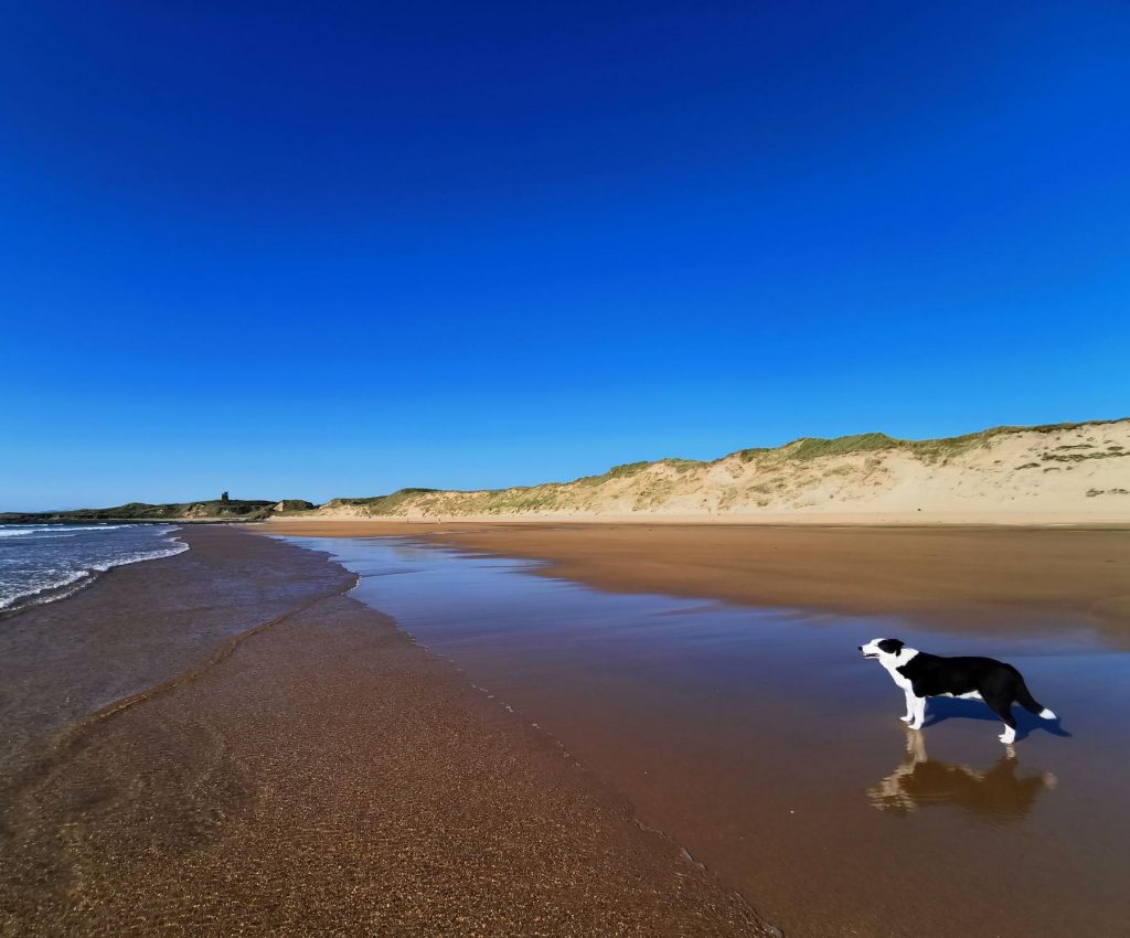 Stunning beaches Sligo Glamping Sligo