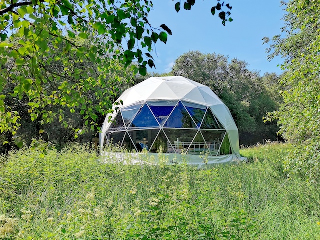 Bubble Dome Bubble Dome