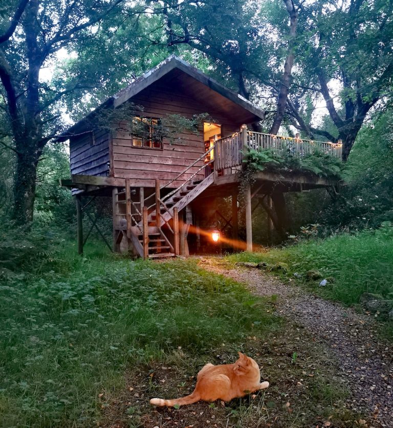 Teapot Lane Treehouse Book a unique Break in our Treehouse
