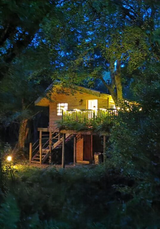 Treehouse