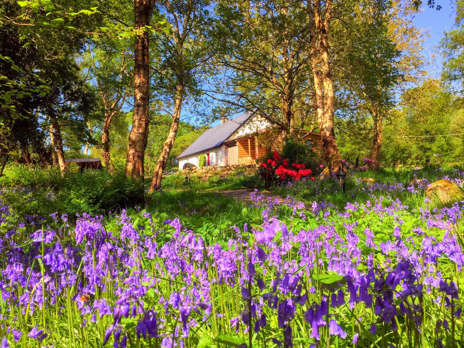 Teapot Lane Cottage Teapot Lane Glamping Self-catering Bluebell Cottage